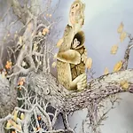Domus An - Sant'agata-historical Home-very Apartment